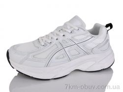 Moli B8012-1 фото