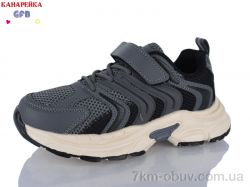 GFB-Канарейка R370-5 фото