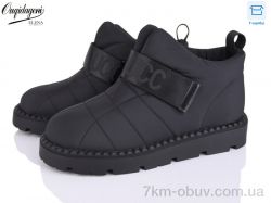 Dageni D995-1 фото