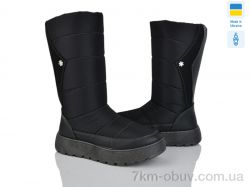 Paolla 1601 чорний фото