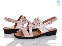 Victoria C20-6 фото