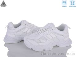 STILLI Group A0025-8 шкіра фото