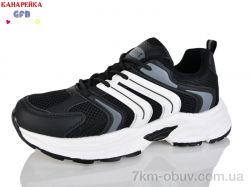 GFB-Канарейка Q570-1 фото