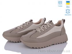 Stella 168-41 фото