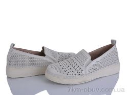 Lion-Lu 2024-29 фото