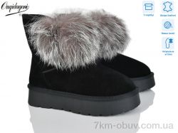 Dageni HA1801-01 фото